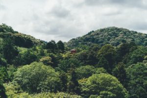 【ありがたいこと】京都でのお仕事